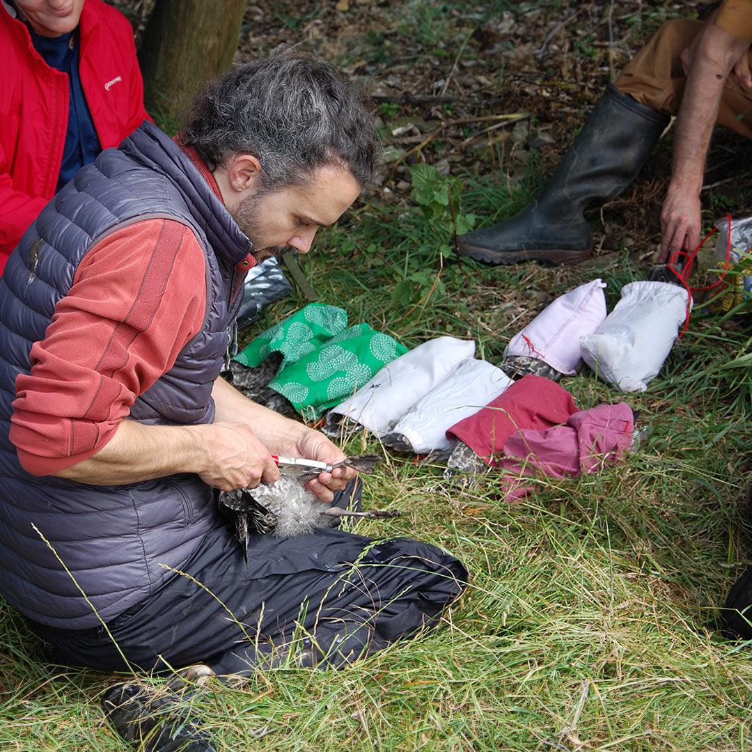 The impact of volunteers