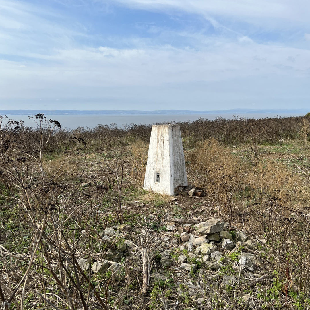 History - What to see – Steepholm